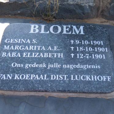 BLOEM Gesina S. -1901 :: BLOEM Margarita A.E. -1901 :: BLOEM Elizabeth -1901