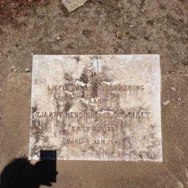 WALT Tjaart Hendrik, van der 1856-1944