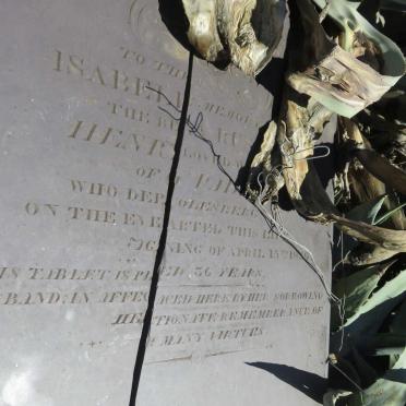 PAD?? Isabella Rus? -18?9