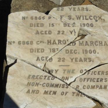 WILCOX F.S. -1900 :: MARCHANT Harold -1900