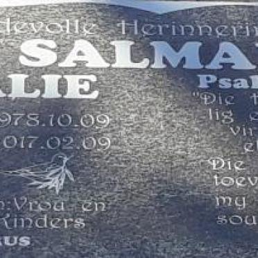 SALMAN Alie 1978-2017