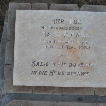 BOSMAN David 1878-1930