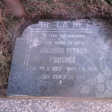 REY Jacobus Petrus Fouchee, de la 1903-1965