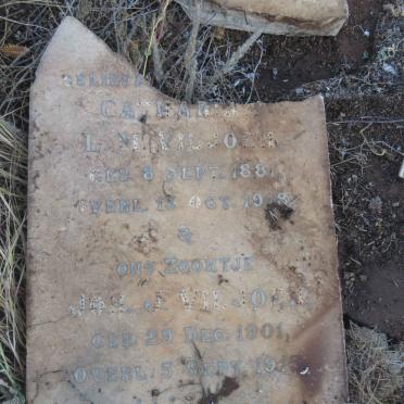 VILJOEN Catharina L.M. 1881-1918