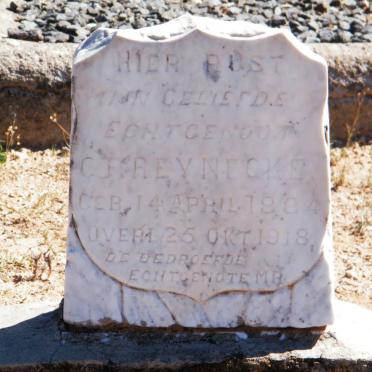 REYNECKE C.F. 1904-1918