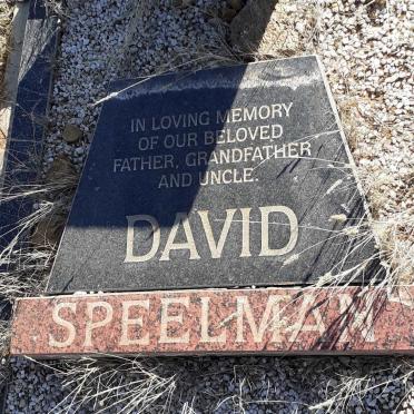 SPEELMAN David