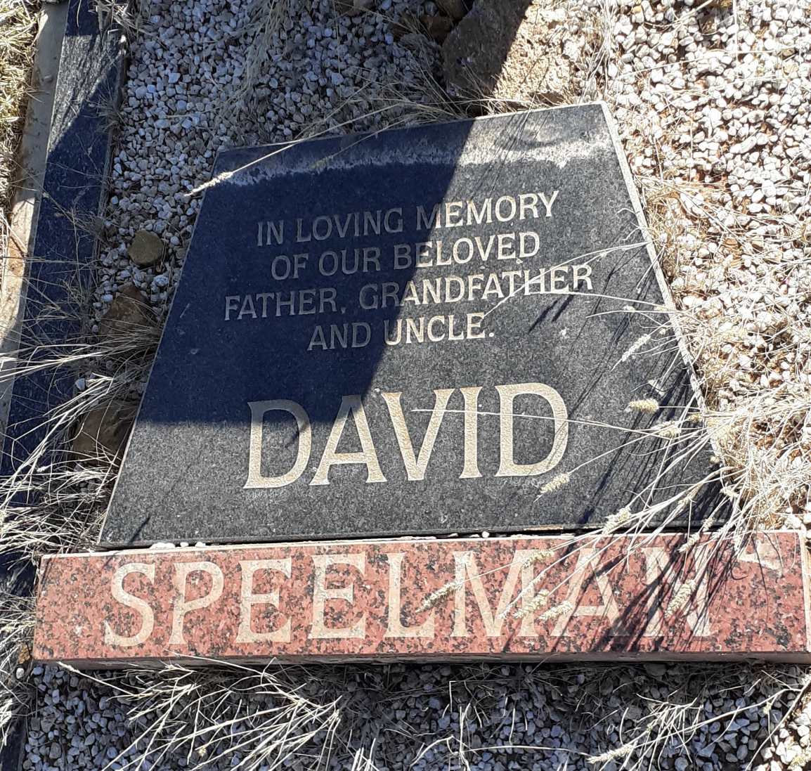 SPEELMAN David