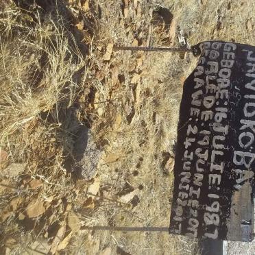 TOKOBA? Jan 1987-2017