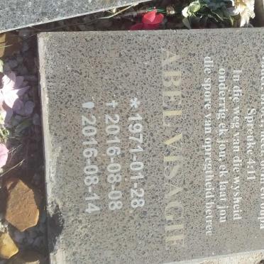 VISAGIE Abel 1971-2016