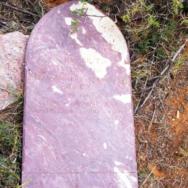 ROEX Izak Jacobus Gerhardus nee BEUKES 1881-1901