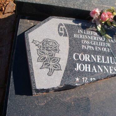 VRIES Cornelius Johannes, de 1950-