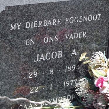 TUKKER Jacob A. 1894-1977 &amp; Susanna Petronella VIVIERS 1904-1977