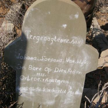 Northern Cape, FRASERBURG district, Vogelstruis Fontein 253_3, single grave