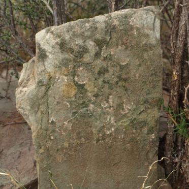 MALAN Daniel Jacobus