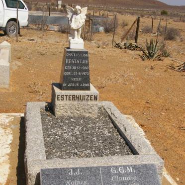 ESTERHUIZEN J.J. 1936- &amp; G.G.M. LOUW 1935-2004 :: ESTERHUIZEN Hestatjie 1960-1973 