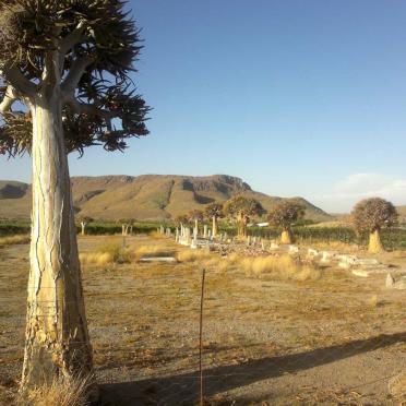 2. Overview / Oorsig