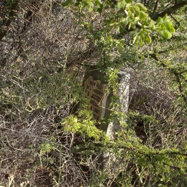 JACOBS ? S. nee KRUGER 1865-1936