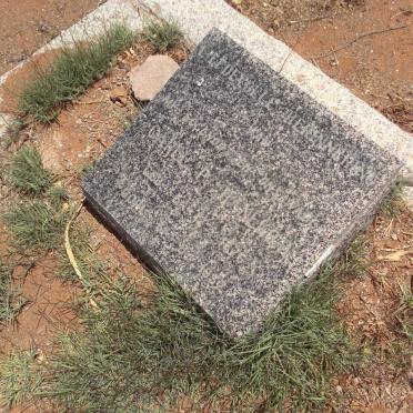 HANEKOM Carel P. 1876-1957