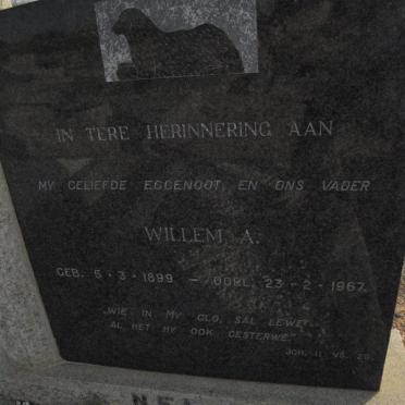 NEL Willem A. 1899-1967