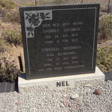 NEL Andries Jacobus 1875-1927 &amp; Cornelia Hendrika HANEKOM 1882-1959