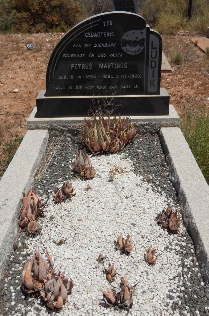 LUDIK Petrus Martinus 1894-1960