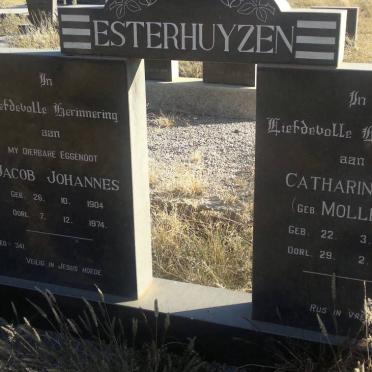 ESTERHUYZEN Jacob Johannes 1904-1974 &amp; Catharina C.D. MOLLETT 1903-1996