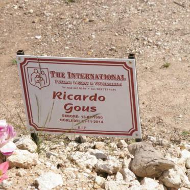 GOUS Ricardo 1990-2014