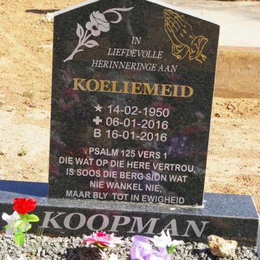 KOOPMAN Koeliemeid 1950-2016