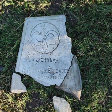 WESTHUIZEN Charlotta Elizabeth, van der 1910-1910