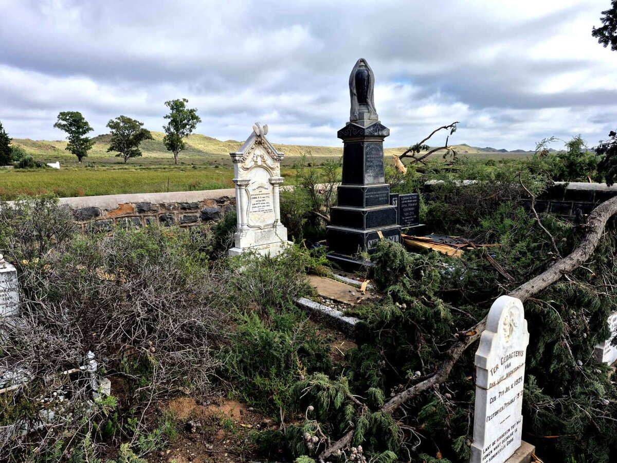 3. Overview / Oorsig