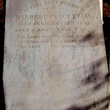 E - Surnames :: Vanne - E