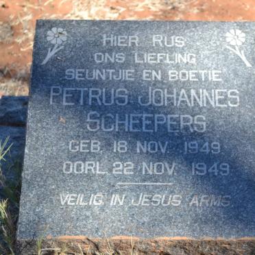 SCHEEPERS Petrus Johannes 1949-1949