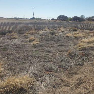 1. Overview / Oorsig