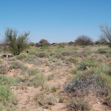 1. Uitsig oor veld met grafte