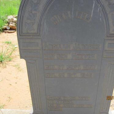 HEEVER Adriaan Jacobus, van den 1893-1945