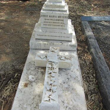 MEYERS Annie Maria nee WILLIAMSON 1858-1898