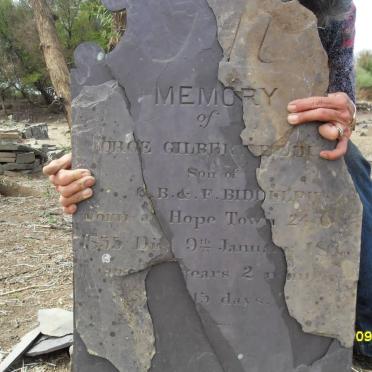 BIDDULPH Gorge Gilbert 1855-186?