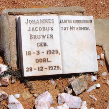 BRUWER Johannes Jacobus 1929-1929
