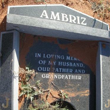 AMBRIZ José 1949-2008