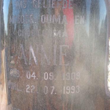 GOUWS A.S. 1909-1993