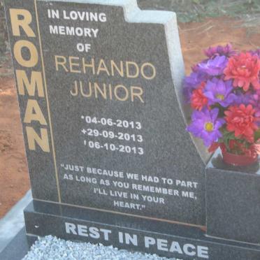 ROMAN Rehando Junior 2013-2013