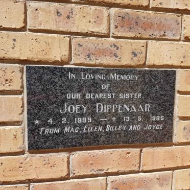 DIPPENAAR Joey 1899-1985