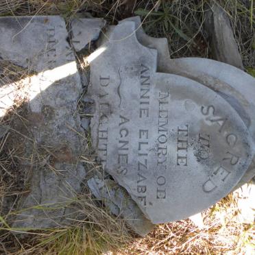 ? Annie Elizabeth Agnes