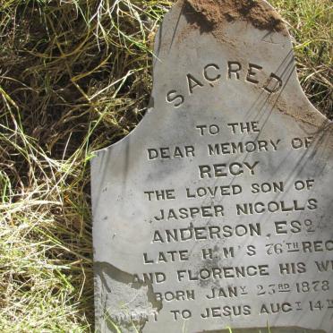 ANDERSON Recy 1878-1879