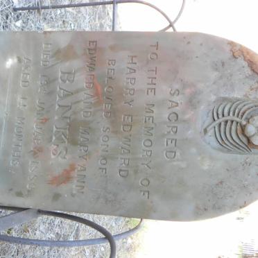 BANKS Harry Edward -1880