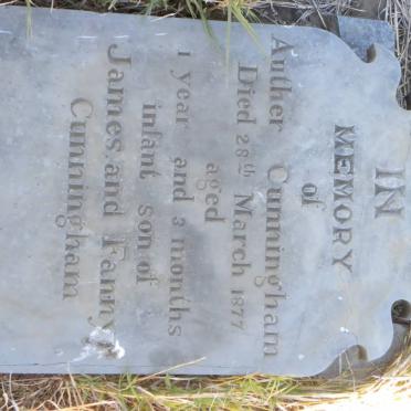 CUNNINGHAM Auther -1877