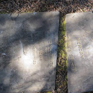 HEPPLEWHITE Kathinka Siberia -1870 