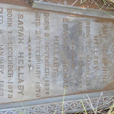 HELLABY Amy Josephine 1877-1878 :: HELLABY Edward Thomas 1878-187? :: HELLABY Sarah 1879-1880 