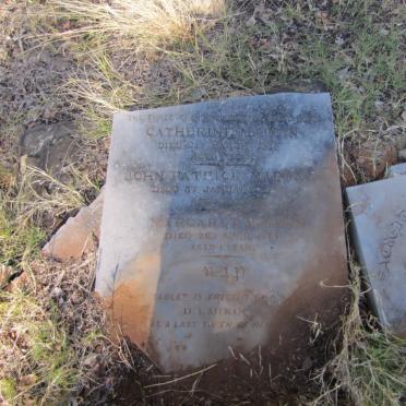 LARKIN Daniel -1876 :: MARTIN Catherine :: MARTIN John Patrick :: MARTIN Margaret -1877 