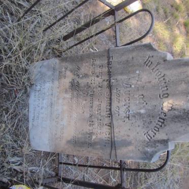 VIGHI August -1892 :: VIGHI Frank -1892 :: VIGHI Hendrick ? :: VIGHI William ?